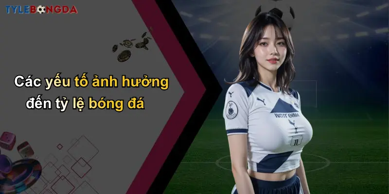 Trang Chủ 115 Các yếu tố ảnh hưởng đến tỷ lệ bóng đá