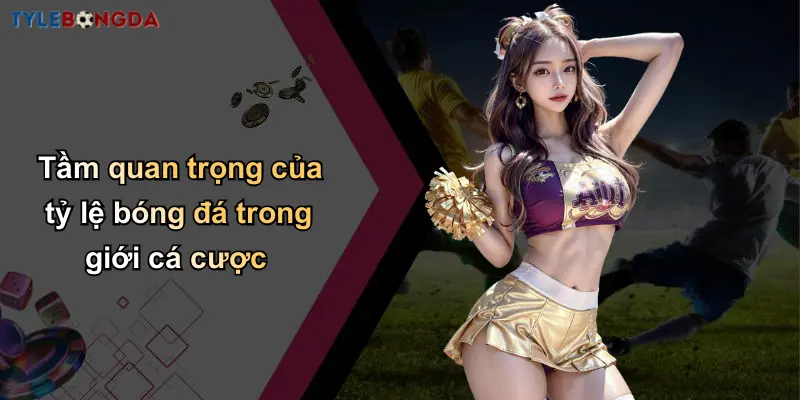 Trang Chủ 113 Tầm quan trọng của tỷ lệ bóng đá trong giới cá cược