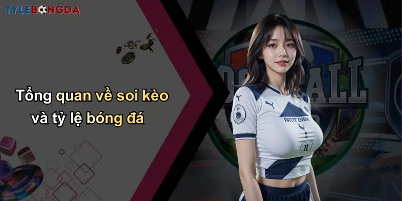 Tổng quan về soi kèo và tỷ lệ bóng đá