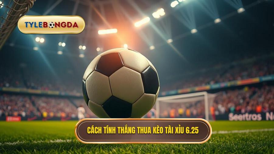 Cách tính thắng thua khi chơi kèo tài xỉu 6.25