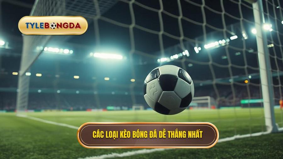Kèo bóng đá dễ thắng: Bí quyết chinh phục đỉnh cao cá cược từ chuyên gia 3 Top các loại kèo bóng đá dễ thắng nhất hiện nay