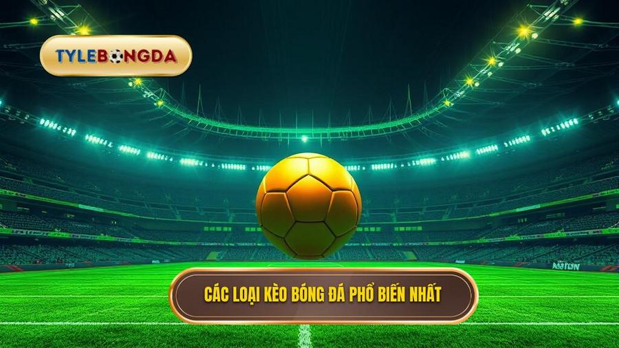 Các loại kèo bóng đá ăn tiền phổ biến nhất hiện nay
