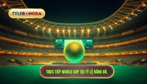 Trực tiếp World Cup hôm nay: Cập nhật link xem và nhận định chuyên sâu