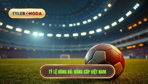 Tỷ số cúp C1 hôm nay: Cập nhật kết quả và phân tích chuyên sâu Champions League